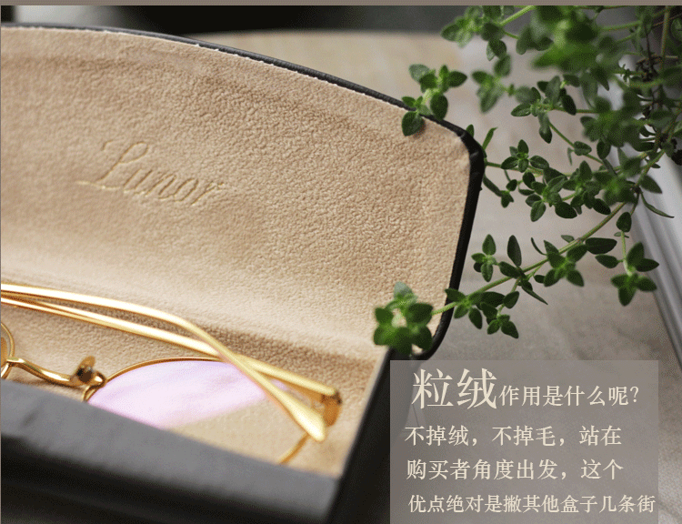 Etui à lunettes - Ref 1241657 Image 6