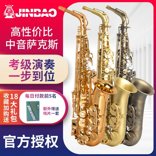 Инструмент Jinbao Sax в Tone E -Tune Детские взрослые молодые младшие