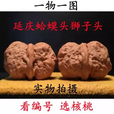 文玩堂：延庆蝦蟇頭蟾王（46mm）無修整【特壳3天】 精品高端老树文玩