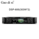 DSP-600(300W*2)