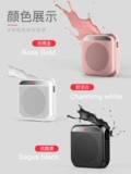 Учитель для громкоговорителей Little Be