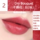 Máy rung Yan 9 khuyên dùng Hàn Quốc Amore bút chì dạng ống mỏng mờ môi son bóng 3 mm rất mịn nhuộm son bóng - Son bóng / Liquid Rouge