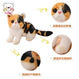 Реалистичная кукла, плюшевая детская игрушка, кот, подарок на день рождения