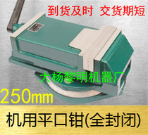 Factory direct sales Dalian Dayang fully enclosed general fine grinding milling and drilling machine 360-degree rotating QH250 machine flat pliers