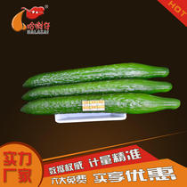 Diet Pagoda 90 kcal Standard Food Exchange Model Cucumber Simulation Food Exchange Model