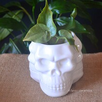 Porcelain Dehua ceramic fleshy plant flowerpot creative cute skull desktop decoration cute small vase clearance