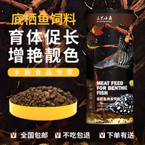Three small fish benthic meat fish feed Lucky Cat dinosaur fish sinking blue shark bottom fish food alien fish food