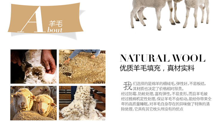 Thêm tình yêu giường nệm ký túc xá sinh viên 1,2 m 1,8m1,5m giường bốn mùa len pad mat - Nệm nệm cao cấp
