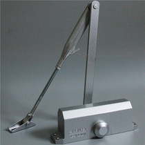 Asa Hai Shenfei interest door closer D5900 503K DC110 hand door closing device household