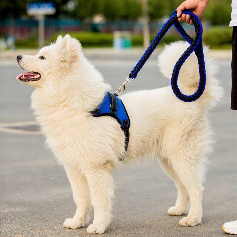 Dog Traction Rope Chest of Breast Bag Dog Necklace golden Mausamo Alaska Labrador Small midsize Dog Dog Rope