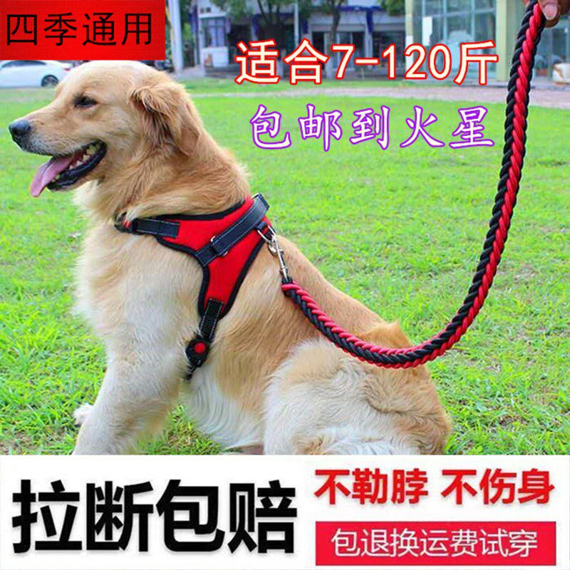 Pet Pooch Chest Holding Baby Bag Traction Rope Chain Sub Medium Large Canine Dog Rope Gold Mauro Pure Color Nylon Weave Suit