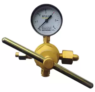 Single meter head YQD-370 nitrogen reducer High pressure nitrogen meter 6x25MPa low pressure all copper high pressure gas cylinder