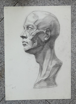 Original sketching plaster head peeling like plaster sketches 4 open K China beauty yard sketching works Fan painting