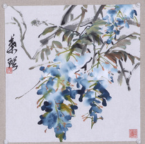 Wisteria Flower Freehand Flower and Bird Chinese Painting Academy of Art Students Chinese Painting Chinese Painting Decorative Painting