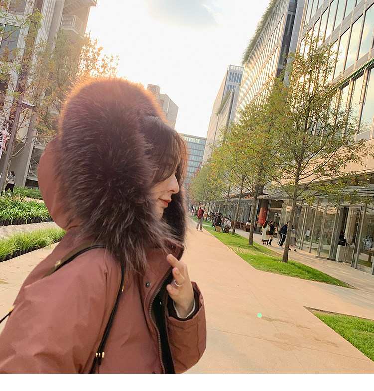 2020-10-30 152421.jpg