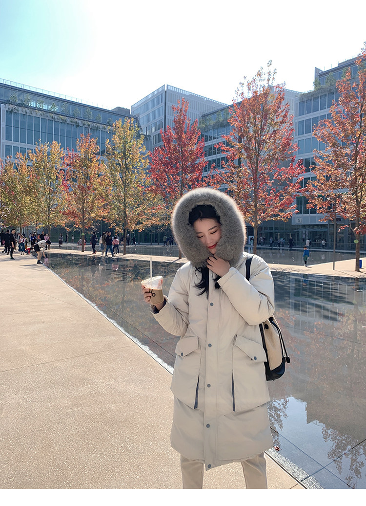 2020-10-31 132444.jpg