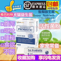 Verbaccote Brady pet probiotics regulate gastrointestinal treasure kitty dog diarrhea vomiting indigestion