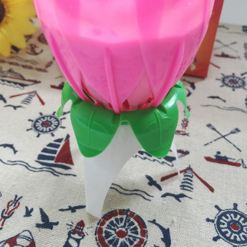 Bougie - Ref 2494207 Image 13