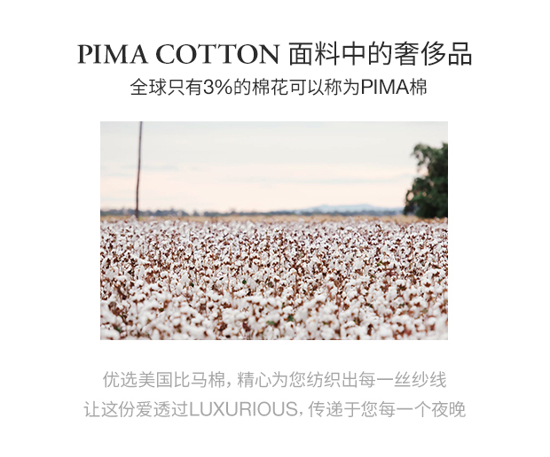Luxury satin 1600 ga trải giường đơn mảnh cotton dày tùy chỉnh màu rắn đơn giường đôi pad bao gồm - Trang bị Covers 	ga giường bo chun