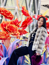 Soup 2004 imported Angola rabbit fur one coat womens short autumn and winter round neck two-color splicing fur