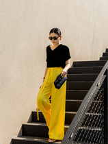 Soup soup woman dress black straight drum V neckline 100 true silk velvet sleeve head short sleeve t-shirt woman slim fit 2021 summer new