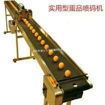Egg conveyor belt Egg water working platform 3 meters long egg inkjet printer supporting production line customized