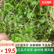 Pure natural fresh all over the ground brocade