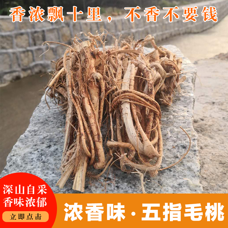 Five Fingers Wool Peach Root Chinese Herbal Medicine Fresh Wild Five Paws Dragon Milk Root Dry Goods Saucepan Soup Stock for another