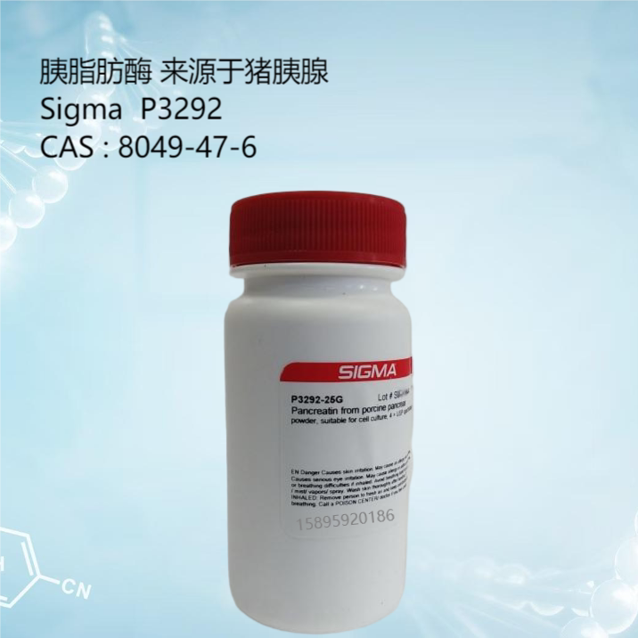 P3292 Pancreatic Lipase Source Pig Pancreas Sigma Biological Reagent Pancreatic Enzyme Hydrolyzes Protein Starch P3292 Pancreatic Lipase Source Pig Pancreas Sigma Biological Reagent Pancreatic Enzyme Hydrolyzes Protein Starch
