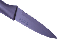  A405 German DAN high forced grid small things outer net 22 knives stainless steel double-edged fruit knife