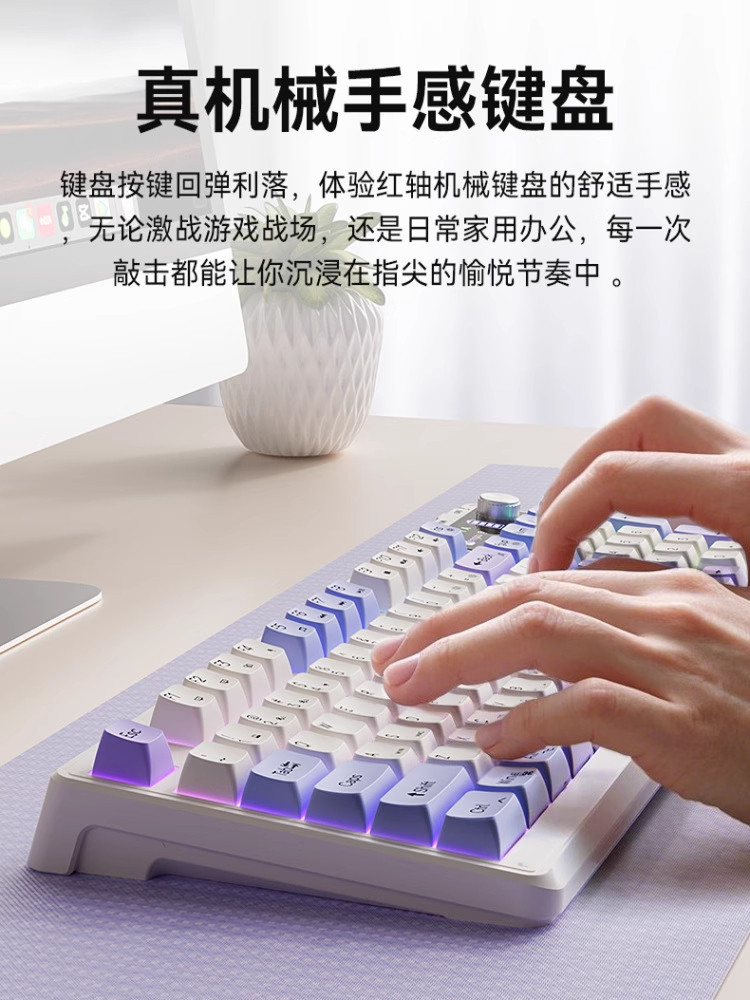 Muma Wireless Bluetooth Keyboard and Mouse Set for Desktop Computers, Universal Wired and Wireless, Office and Gaming, Silent with Screen