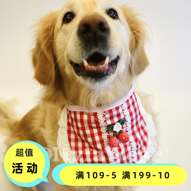 Exploits dress up large canine gold wool samo lace lace adorable princess pet big dog mouth water towels bib