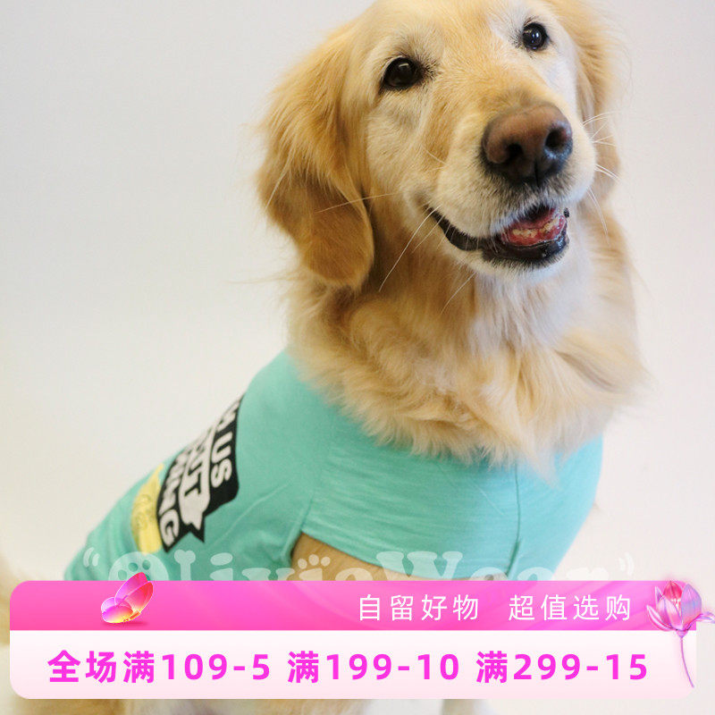 Exploits OliviaWear large dog gold wool bamboo cotton full cotton light and breathable large dog pet vest dog clothes