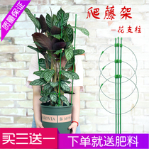 Pro-home climbing rattan shelf flower bracket moon flower rack plant basin Indoor flower support rod gardening clematis climbing