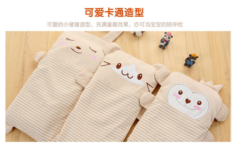 Pillow_11