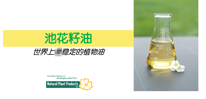 American white pond flower seed oil white mango flower seed oil skin care raw material massage base oil anti-oxidation moisturizing moisturizing