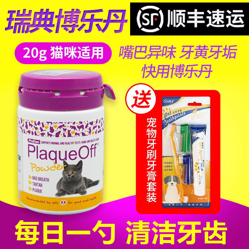 Borletan Dentity Pink Kitty Pooch pooch Dentity Pink Oral Teeth Clean Toothbrushing 20g-Taobao