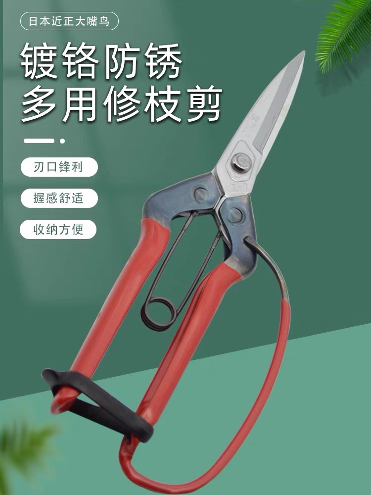 Japan's original imported near - normal pine cut garden pot T - 710 garden shear household for portable trimming cut