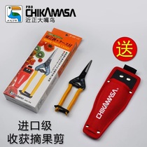 Japanese Sunshine Rose Scissors Kinsho Toucan Grape Thinning Fruit Scissors Fruit and Vegetable Harvesting Scissors Gardening Scissors
