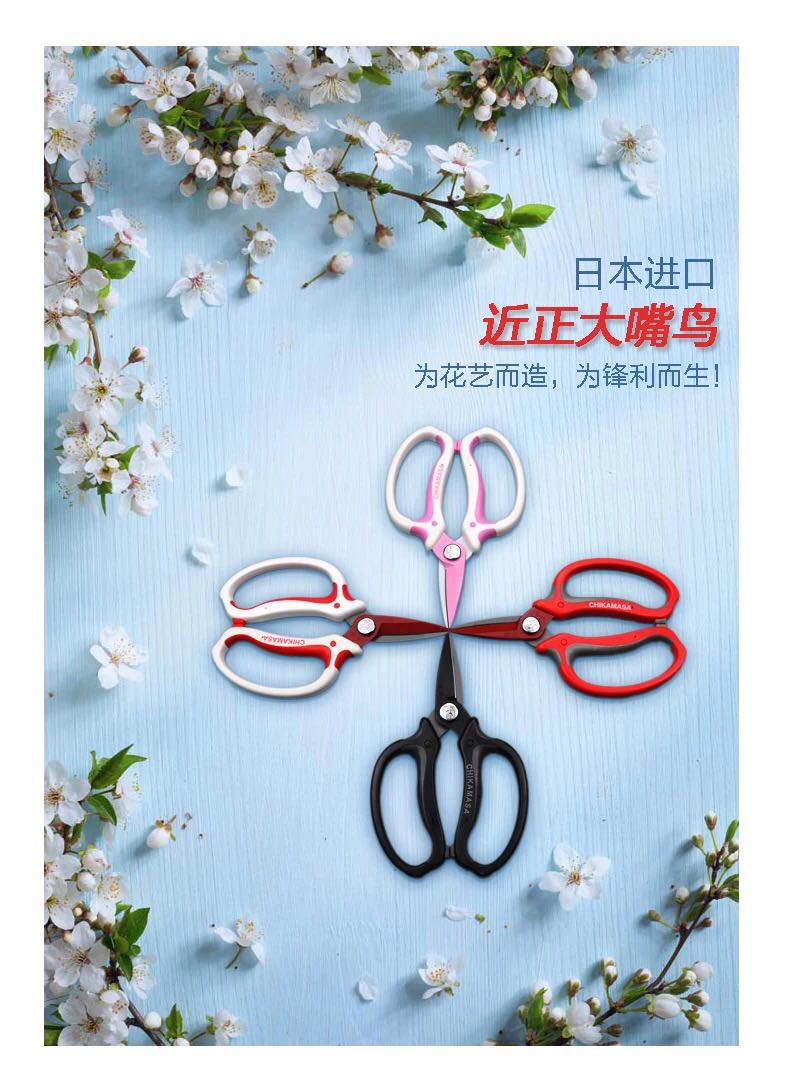 Japanese original imported scissors near the Big Mouth chikamasa flower cut flower cut cut flower scissors