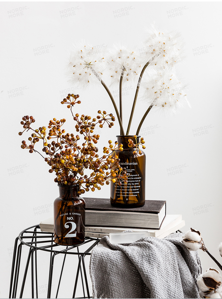 Các nước Bắc Âu Davide dược loạt bình thủy tinh nhỏ - mô hình gồm chữ và số phòng khách trang trí hoa - Trang trí nội thất dcor phòng ngủ nhỏ không giường