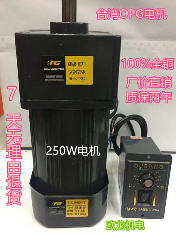 Taiwan opg AC 220V 250W Micro gear motor 61K 6IK250RGN-CF speed motor