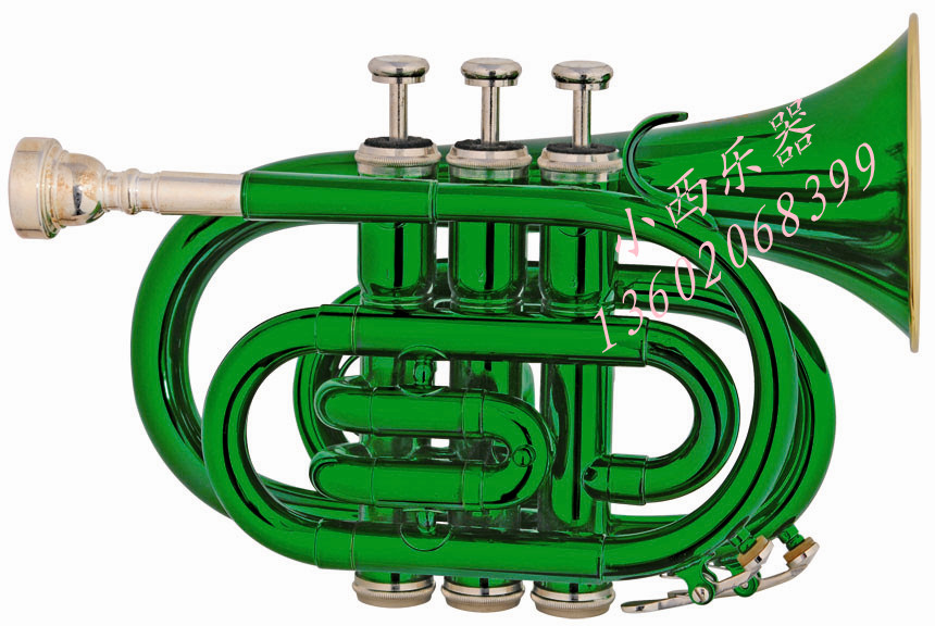 The palm number is a variety of color Bb tunes.