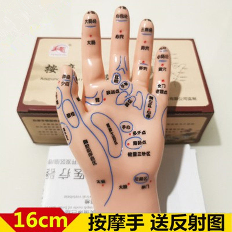 清晰软质刻字按摩手反射区穴位模型手模左手推拿按压送手图大字体