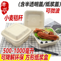 Barbecued special packing box paper disposable cheese baked rice takeaway lunch box pulp square salad box