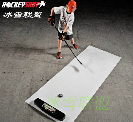 hockeyshoot ice hockey shooting door practice board land dial ball board ice hockey training board ice hockey practice board-Taobao