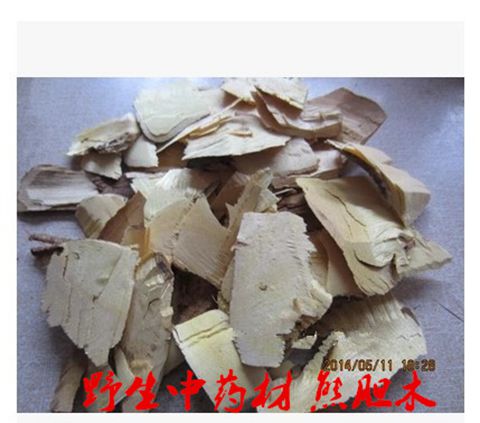 Wild Chinese herbal medicine Bear Bile wood Bear Bile tree Bitter Gentian to Save Must Iron Winter Turquois Bark