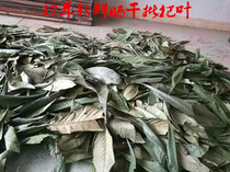Wild Chinese herbal medicine Lao batch of leaves of loquat leaves loquat leaf with loquat leaves of loquat leaf of loquat leaf of loquat leaf 500 gr loquat leaf