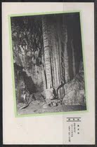 Japans early landscape postcard A golden pillar natural landscape