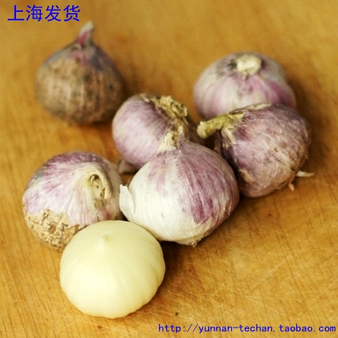 Yunnan specialy Dali Purple Peel single garlic Garlic Farmhouse Planted with Celibate Garlic 500g Shanghai Shipping
